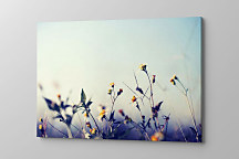 Obraz do spálne s kvetmi zs1352